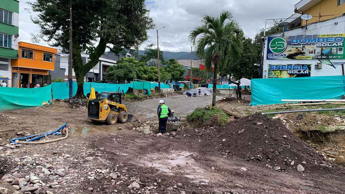 Comerciantes temen pérdidas por suspensión de la tala en la Avenida Catama: «Estamos muy preocupados»