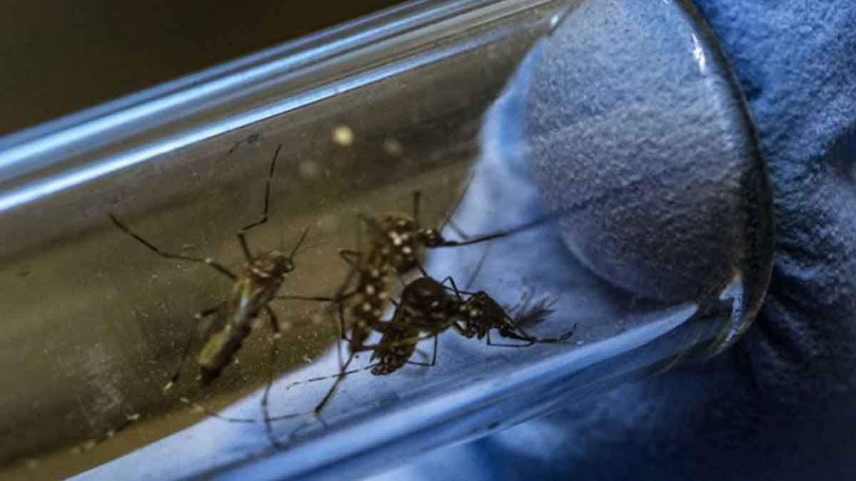 Más de 12.000 contagios ubican al Meta como el departamento con más casos de dengue en el país