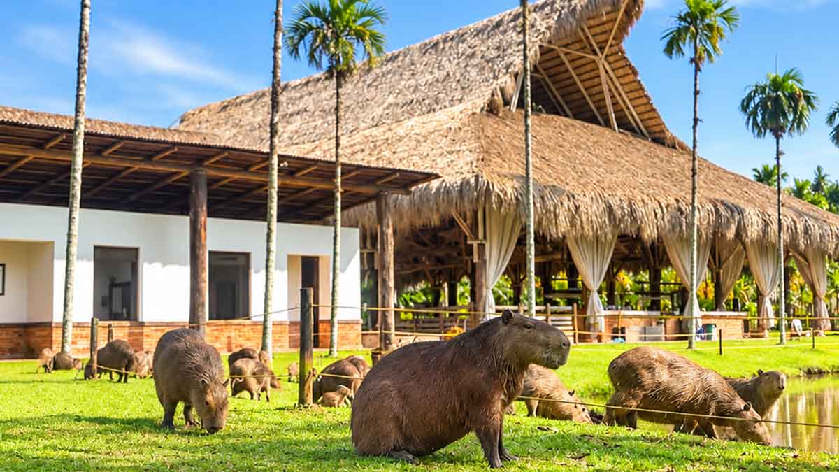 Un plan a 10 años busca convertir al turismo en motor de la economía de Villavicencio